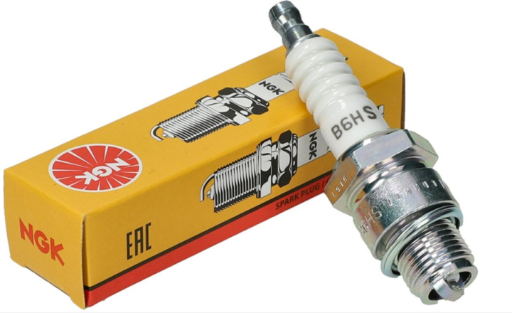 B6Hs Ngk 11-008 en el grupo  con GPLSHOP (11-008)