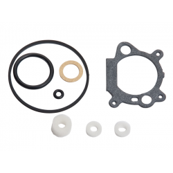 Gasket kit 498261 en el grupo  con GPLSHOP (498261)