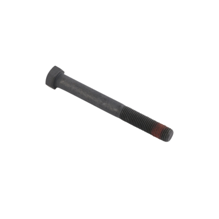 Tornillo en el grupo Repuestos / Repuestos para tractores cortacésped McCulloch / Piezas de repuesto McCulloch M24-54T con GPLSHOP (5016066-01)
