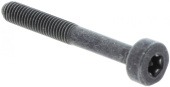 Tornillo Itxscm en el grupo  con GPLSHOP (5032153-65)