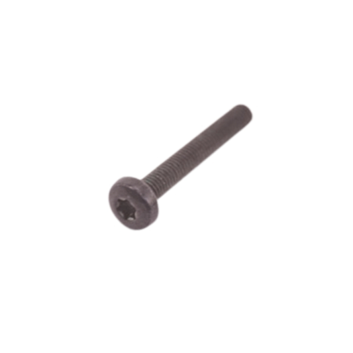 Tornillo M5X35 Mrt Torx Negro en el grupo con GPLSHOP (5044587-01)