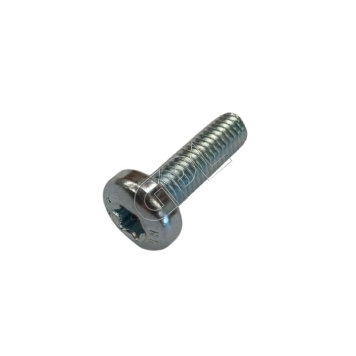 Tornillo en el grupo Repuestos / Piezas de repuesto Rider / Piezas de repuesto Husqvarna Rider 420 TSX AWD con GPLSHOP (5055577-04)