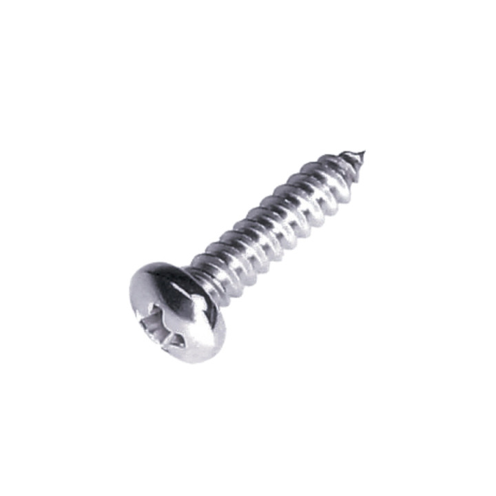 Tornillo Chapa 4,2X19 5204322-01 en el grupo con GPLSHOP (5204322-01)