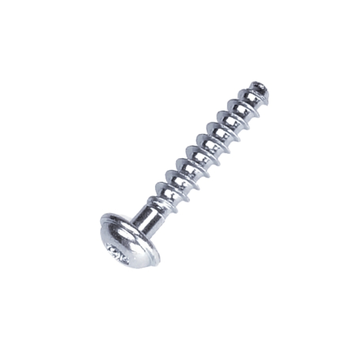 Tornillo T50X28 5205247-01 en el grupo con GPLSHOP (5205247-01)