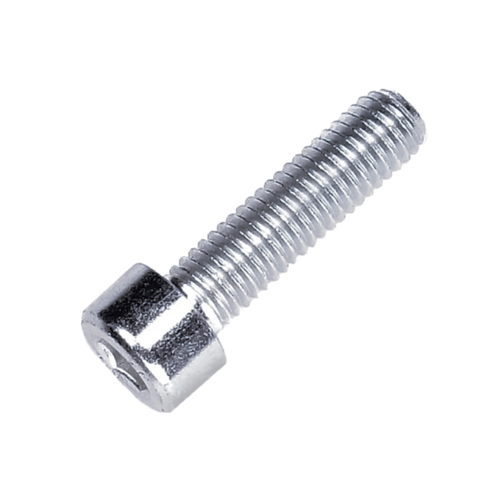 Tornillo Cabeza Queso M8X30 5205404-01 en el grupo con GPLSHOP (5205404-01)