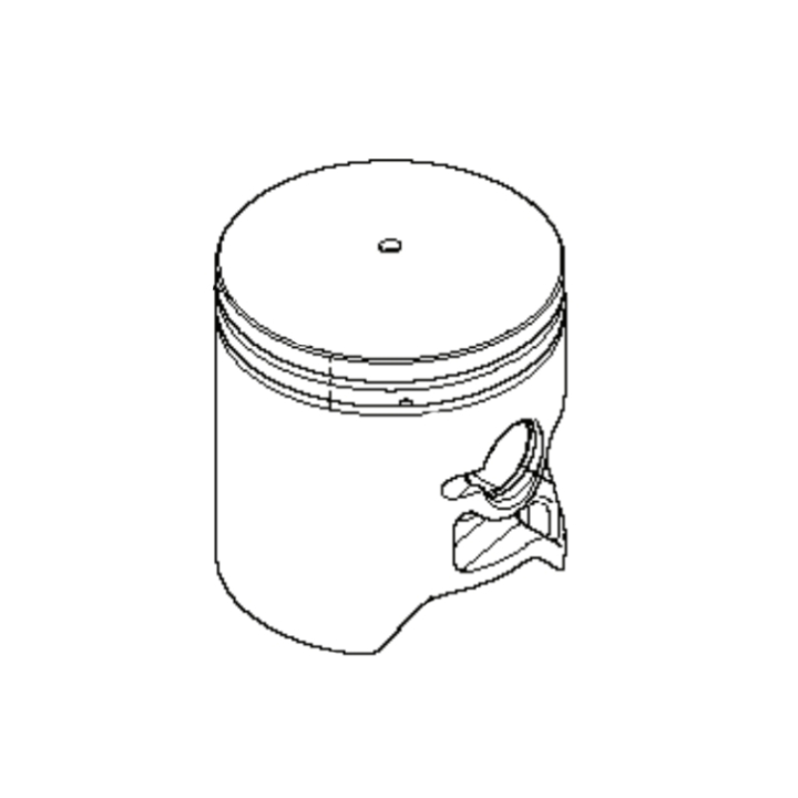 Pistón 5216238-01 en el grupo con GPLSHOP (5216238-01)