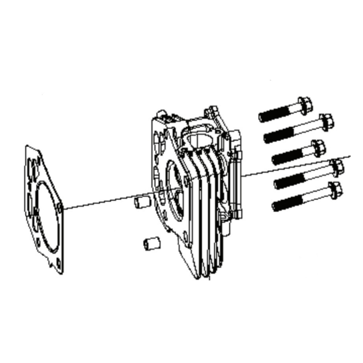 Kit de culata en el grupo Repuestos / Piezas de repuesto Rider / Piezas de repuesto Husqvarna Rider 214TC con GPLSHOP (5311469-91)