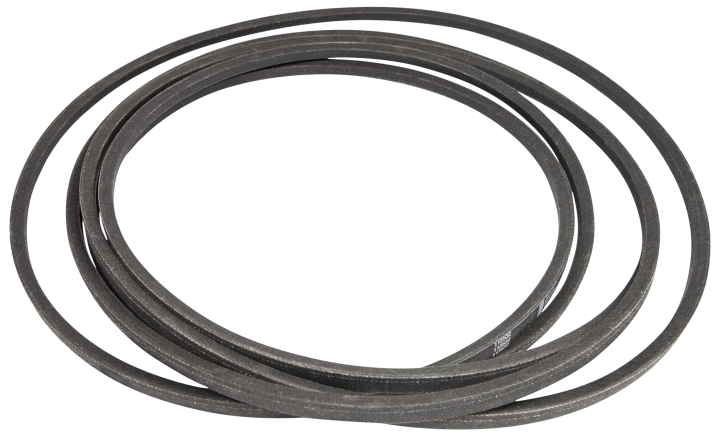 Correa 5391125-32 en el grupo  con GPLSHOP (5391125-32)