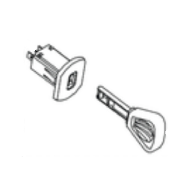 Kit de interruptor con llave en el grupo con GPLSHOP (5401805-01)