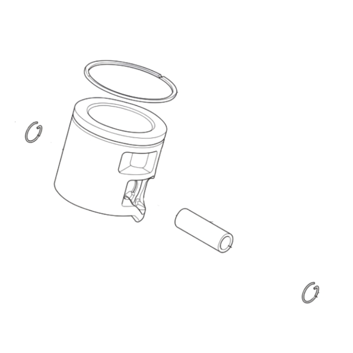  en el grupo  con GPLSHOP (5461080-04)