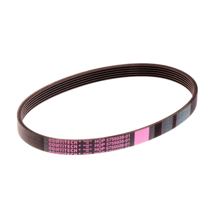 Correa 5755026-01 en el grupo con GPLSHOP (5755026-01)