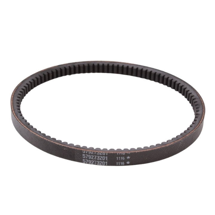 Correa 5792732-01 en el grupo con GPLSHOP (5792732-01)