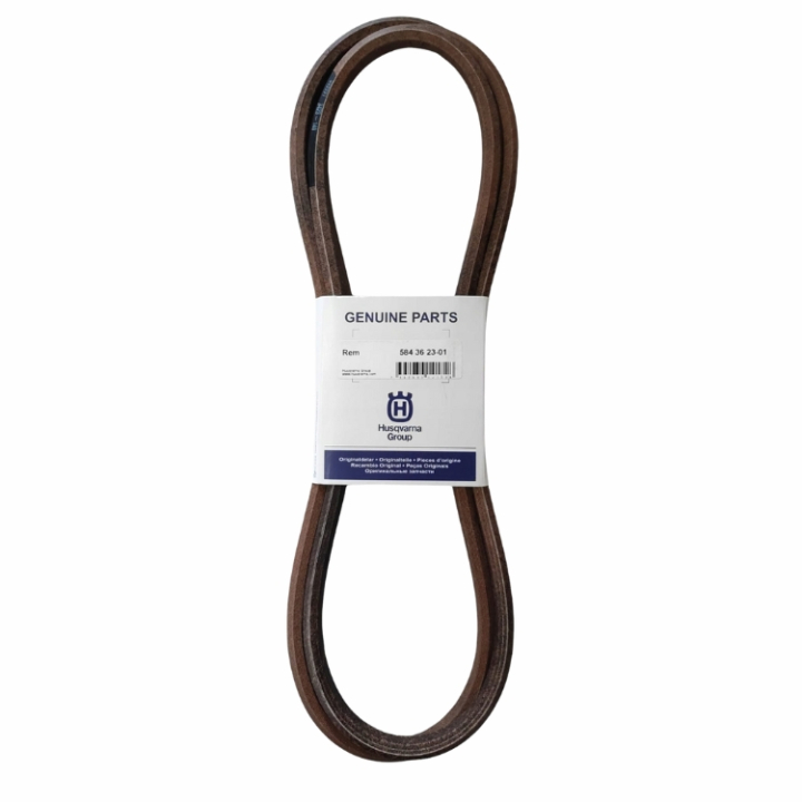 Correa 5843623-01 en el grupo  con GPLSHOP (5843623-01)