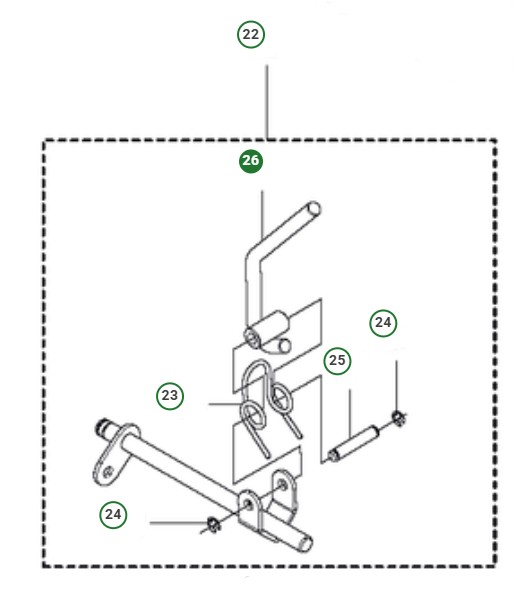 Hígado en el grupo  con GPLSHOP (5867088-01)