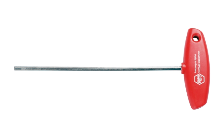 Cincel Torx T 10 en el grupo con GPLSHOP (5885241-01)
