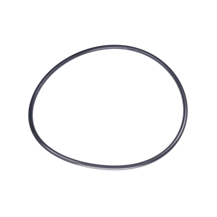 Junta Tórica 160X5.5 5885243-01 en el grupo  con GPLSHOP (5885243-01)