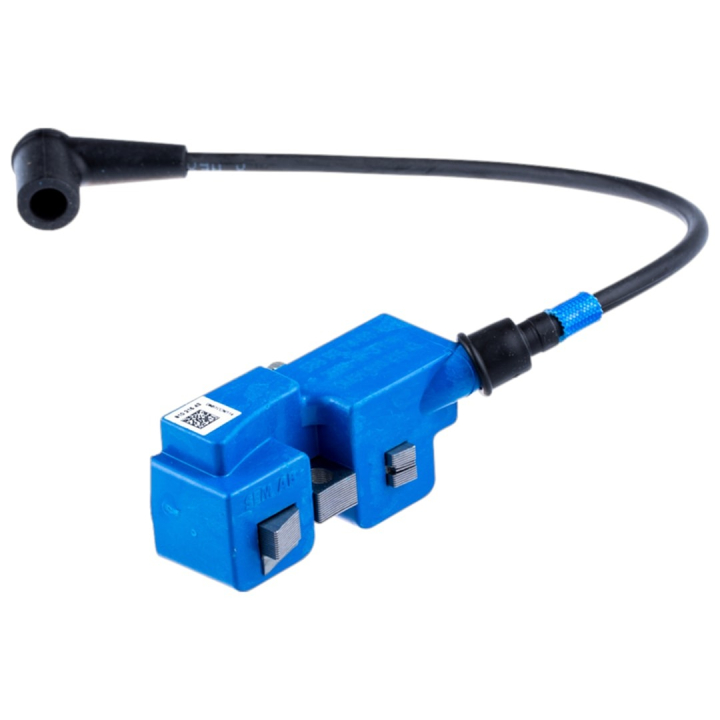 Módulo De Ignición 5889374-03 en el grupo  con GPLSHOP (5889374-03)