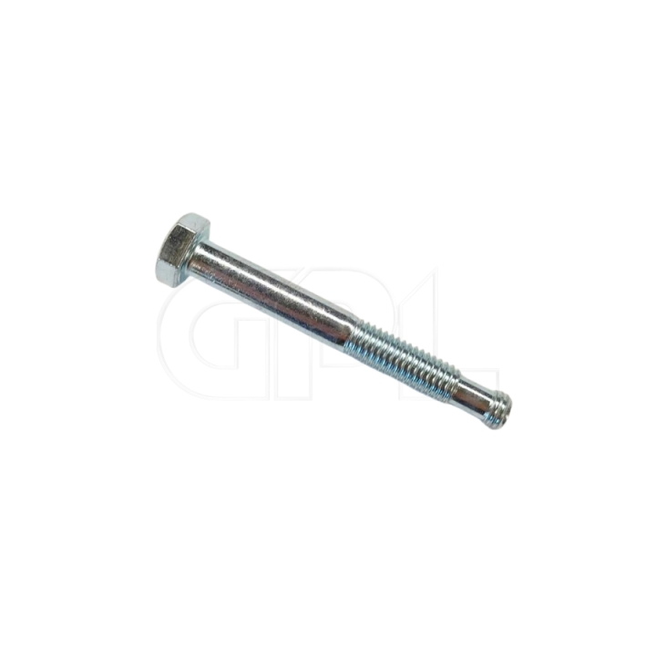 Tornillo Especial en el grupo con GPLSHOP (5897800-01)
