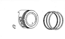  en el grupo  con GPLSHOP (590662)