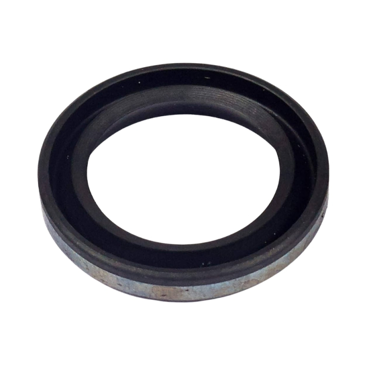 Sello en el grupo Repuestos / Repuestos Briggs & Stratton con GPLSHOP (5936015-72)