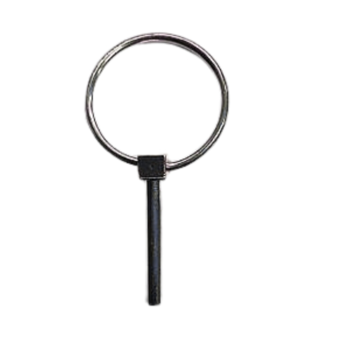  en el grupo  con GPLSHOP (5960161-01)