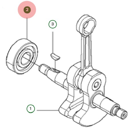  en el grupo  con GPLSHOP (5976107-01)