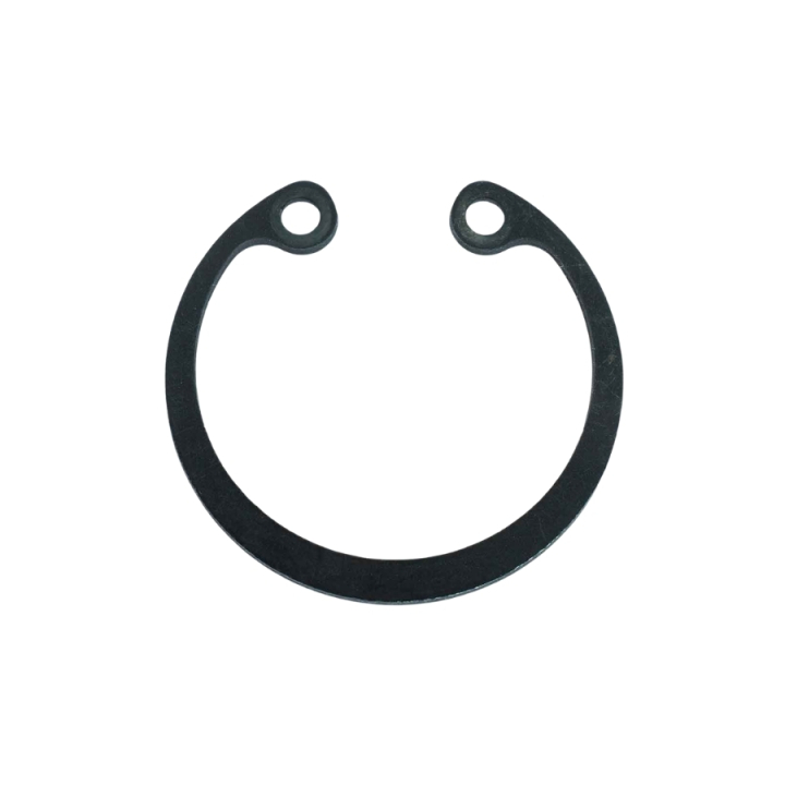 Anillo de bloqueo Sgh 55 en el grupo  con GPLSHOP (5985650-01)