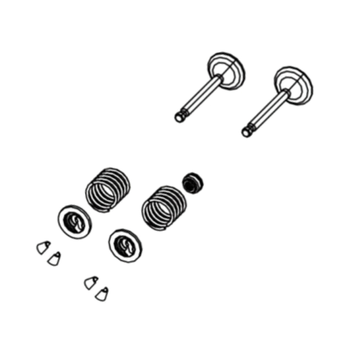Kit de válvula en el grupo Repuestos / Piezas de repuesto Gräsklippare / Piezas de repuesto till Motorer / Piezas de repuesto RATO R210 con GPLSHOP (5993489-84)