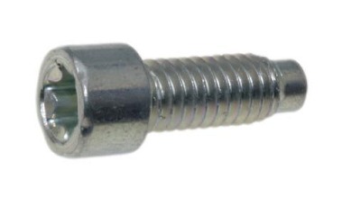 Tornillo en el grupo  con GPLSHOP (698941)
