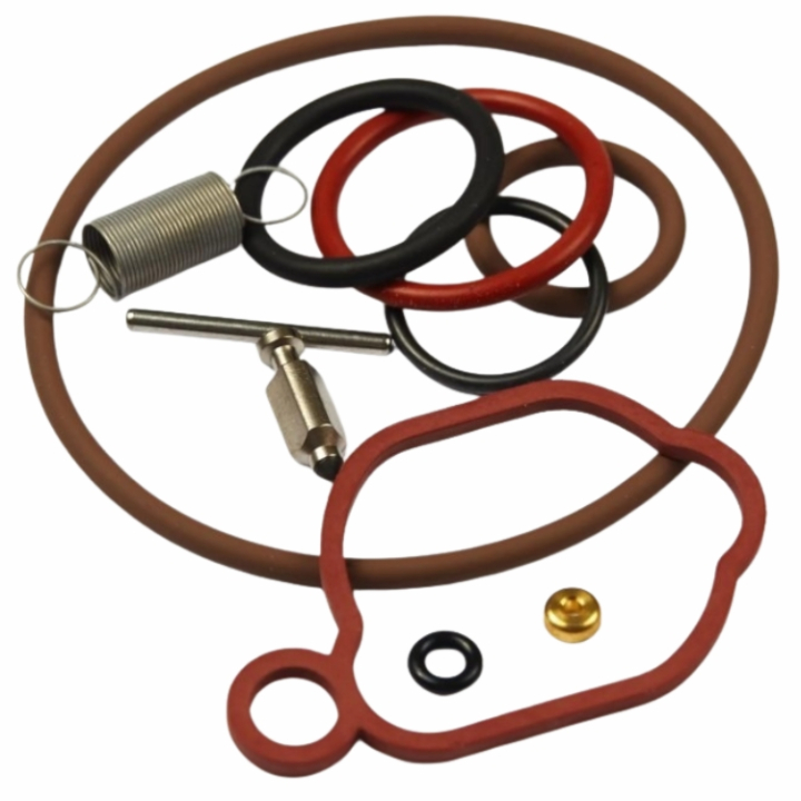 Kit Rep. Carburador en el grupo Repuestos / Repuestos Briggs & Stratton con GPLSHOP (84013065)