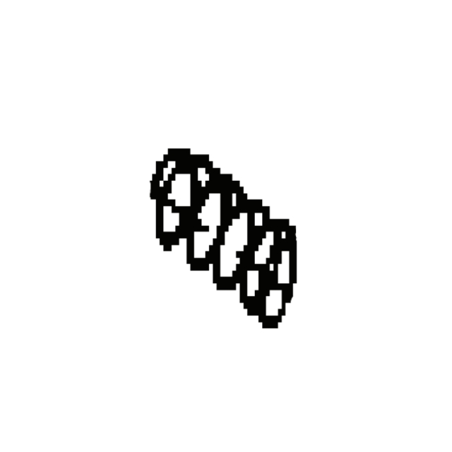 primavera 5012231-01