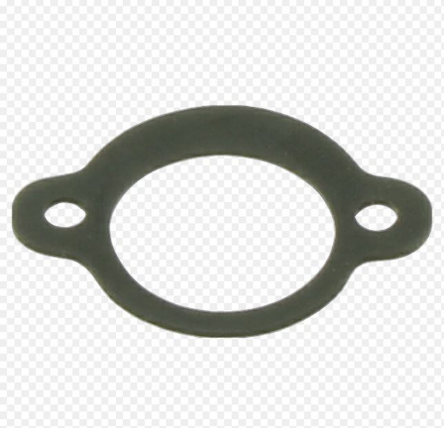 Junta Filtro De Aire 5018156-01