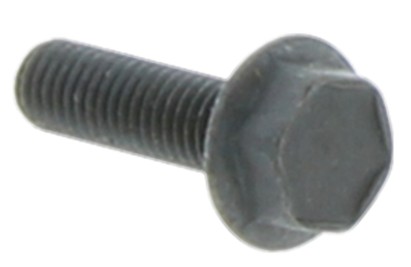 Tornillo M6Sf 5X18 5032000-21