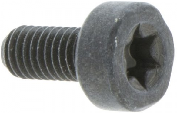 Tornillo Torx D10, M5X10.5 5032153-10