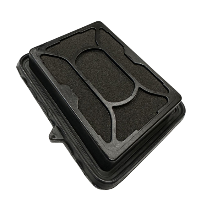 Filtro de aire 5050347-02