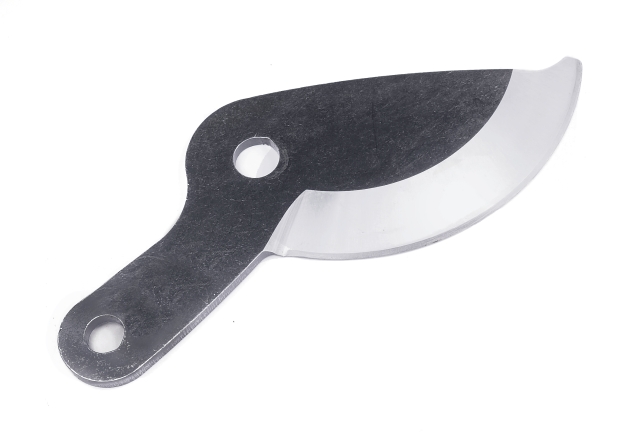 Cuchilla Superior