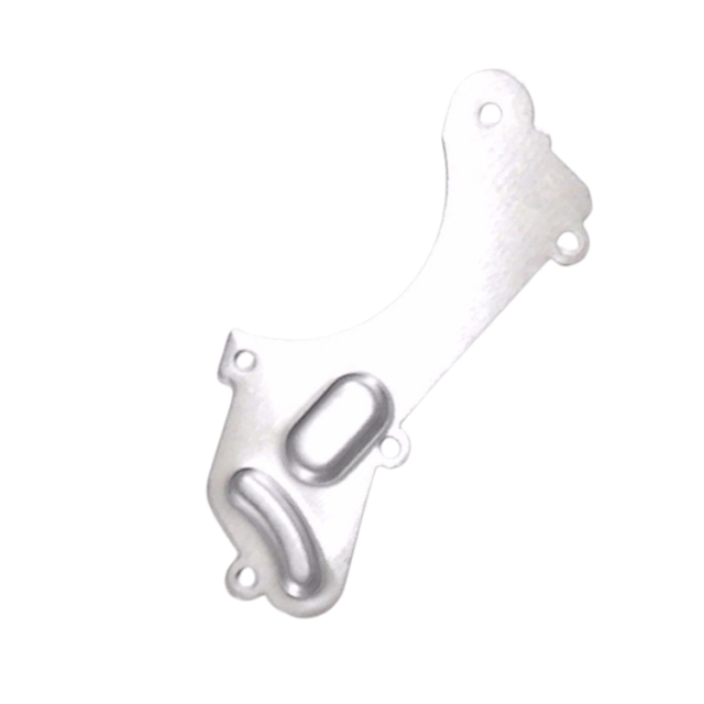 Cubierta Placa de Freno 5366290-01