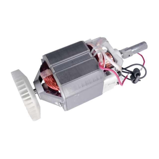 Motor Eléctrico 5747262-01