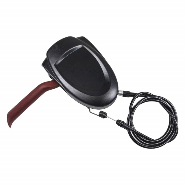 Reglamentos 5832979-01