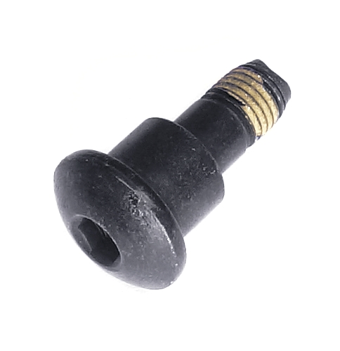 Tornillo en el grupo  con GPLSHOP (5855584-01)