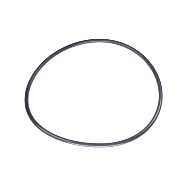 Junta Tórica 160X5.5 5885243-01