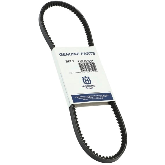 Cinturón 5893246-01