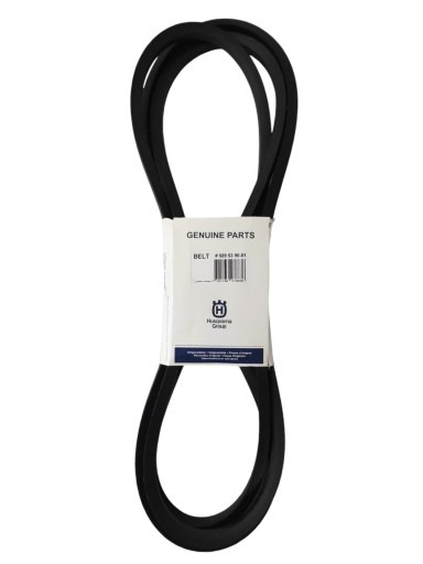 Cinturón 5895390-01