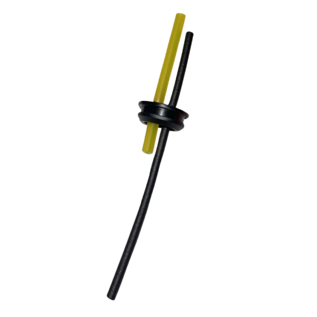 Conjunto de manguera de combustible Evp Carb2020