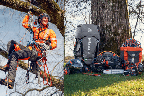 Arborist som sitter i ett träd tillsammans med arboristverktyg