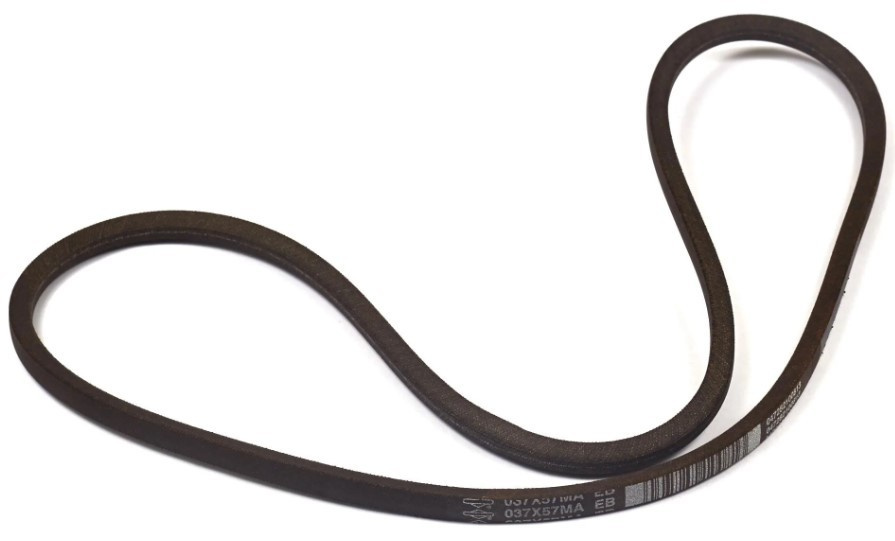 Cinturón-Hoja Dr.53.75