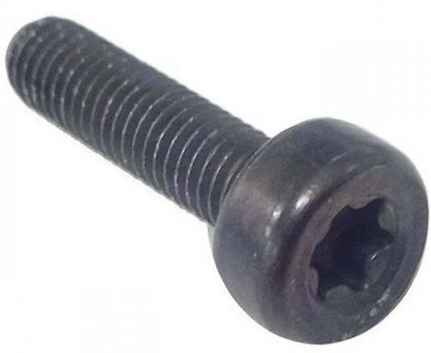 Tornillo Torx D10, M5X20