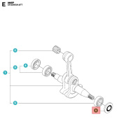Anillo De Sello 5052757-19 Anillo De Sello 5052757-19