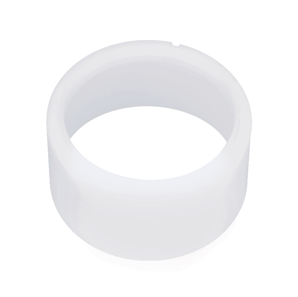 Anillo Excentrico