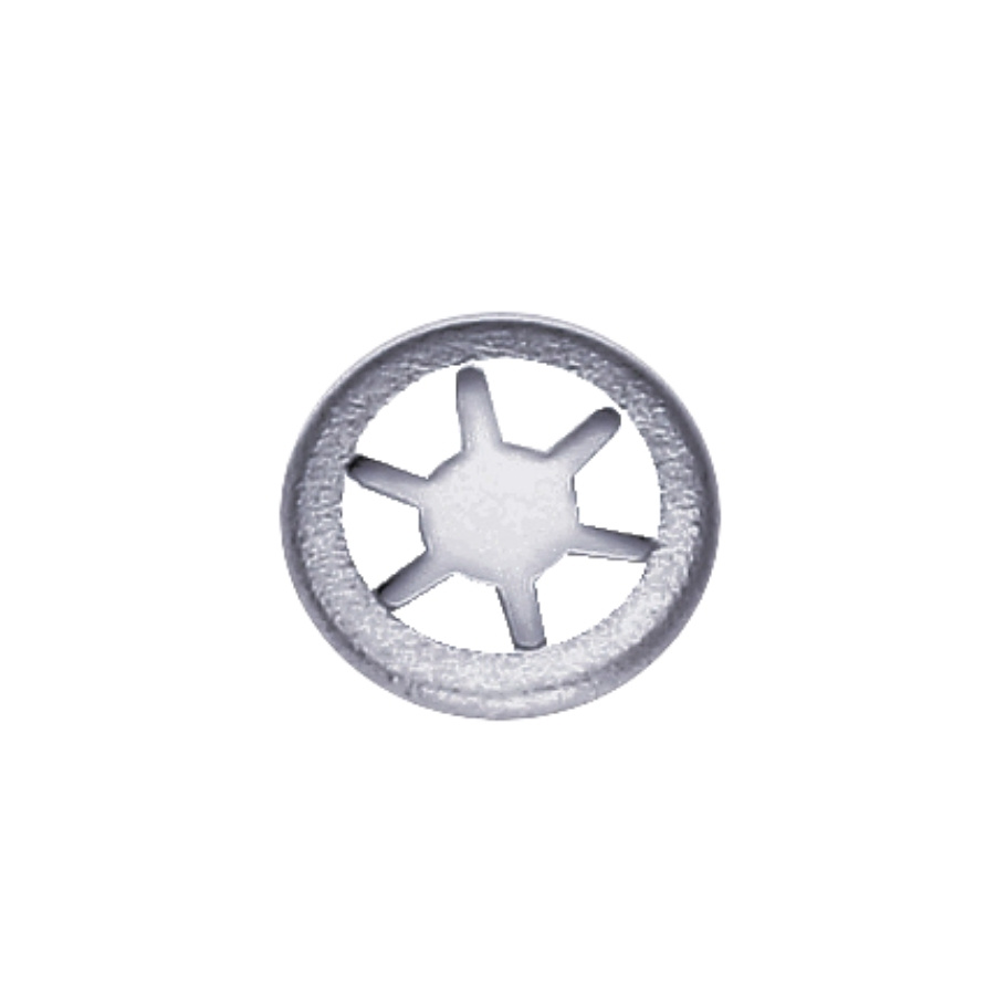 Arandela De Tapa Para Rueda 5204275-01